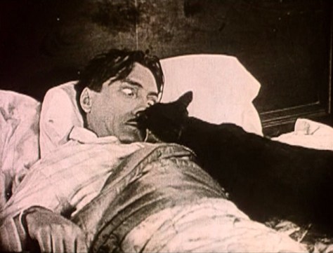 Cinema Europe 8