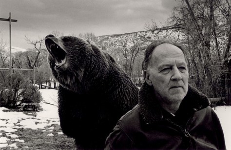 Grizzly Man 1