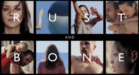 Rust and Bone 21