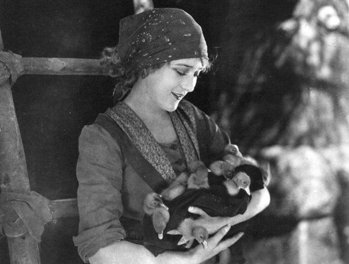 Love Light, The (1921)