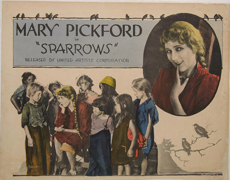 Sparrows 4