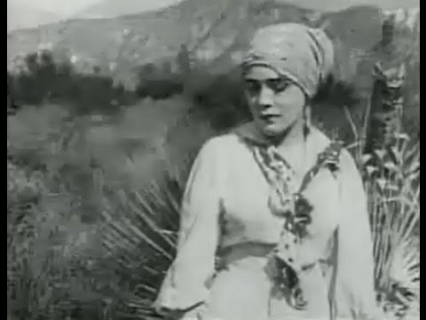 Female of the Species 2