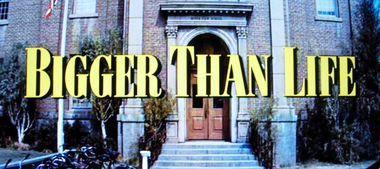 Bigger Than Life 10