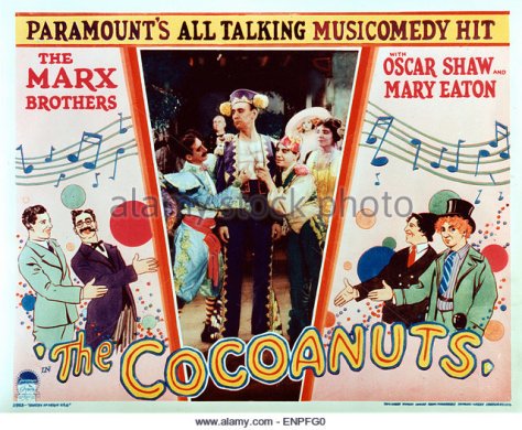 Coconuts the 3