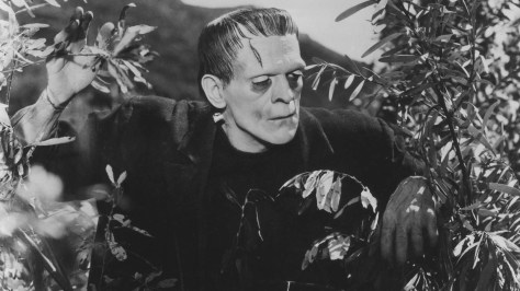 Frankenstein 8