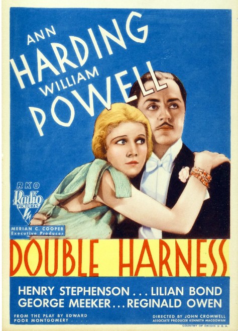 Double Harness  1.jpg